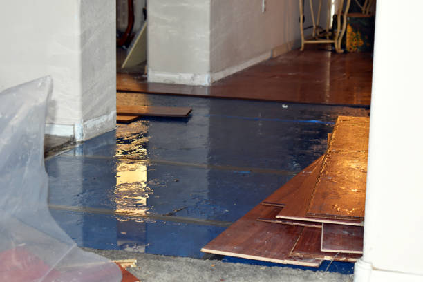 Professional Water Extraction technician working in West Olive, MI